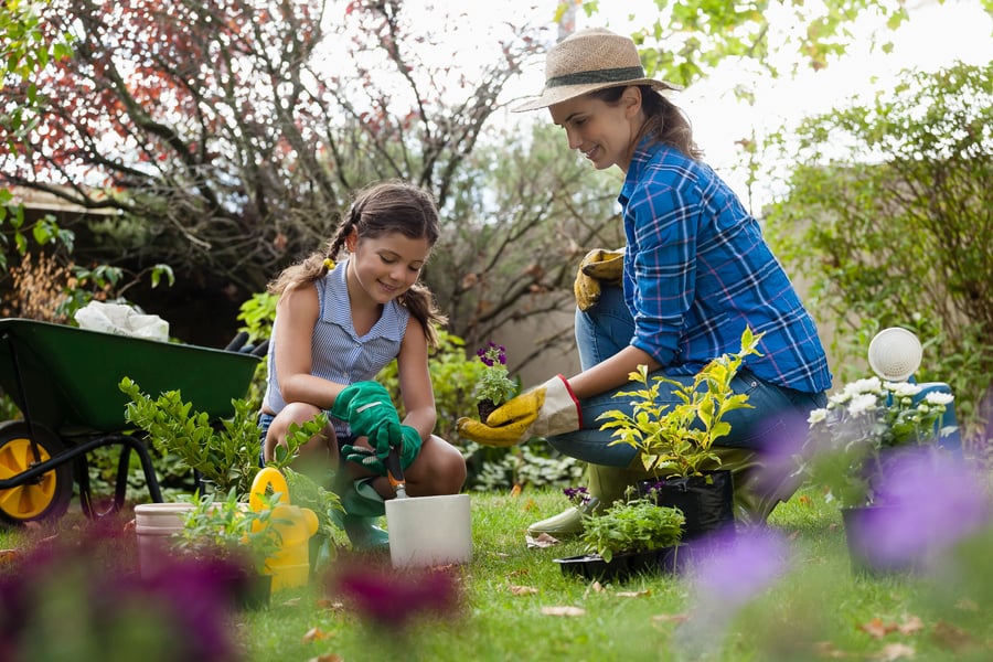 Stockbild | Gartenbau | Frühling | Garten Frau mit Kind | Blumenwiese | 1920x1280