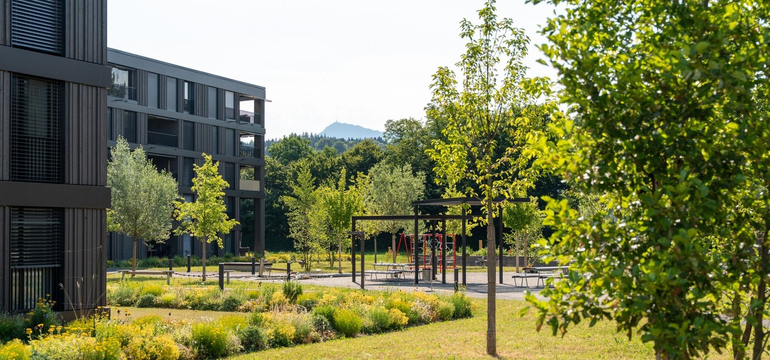 Schmid-Projekt-Emmen-Gruenmatt-Umgebung-Garten-Begegnungsplatz-Banner