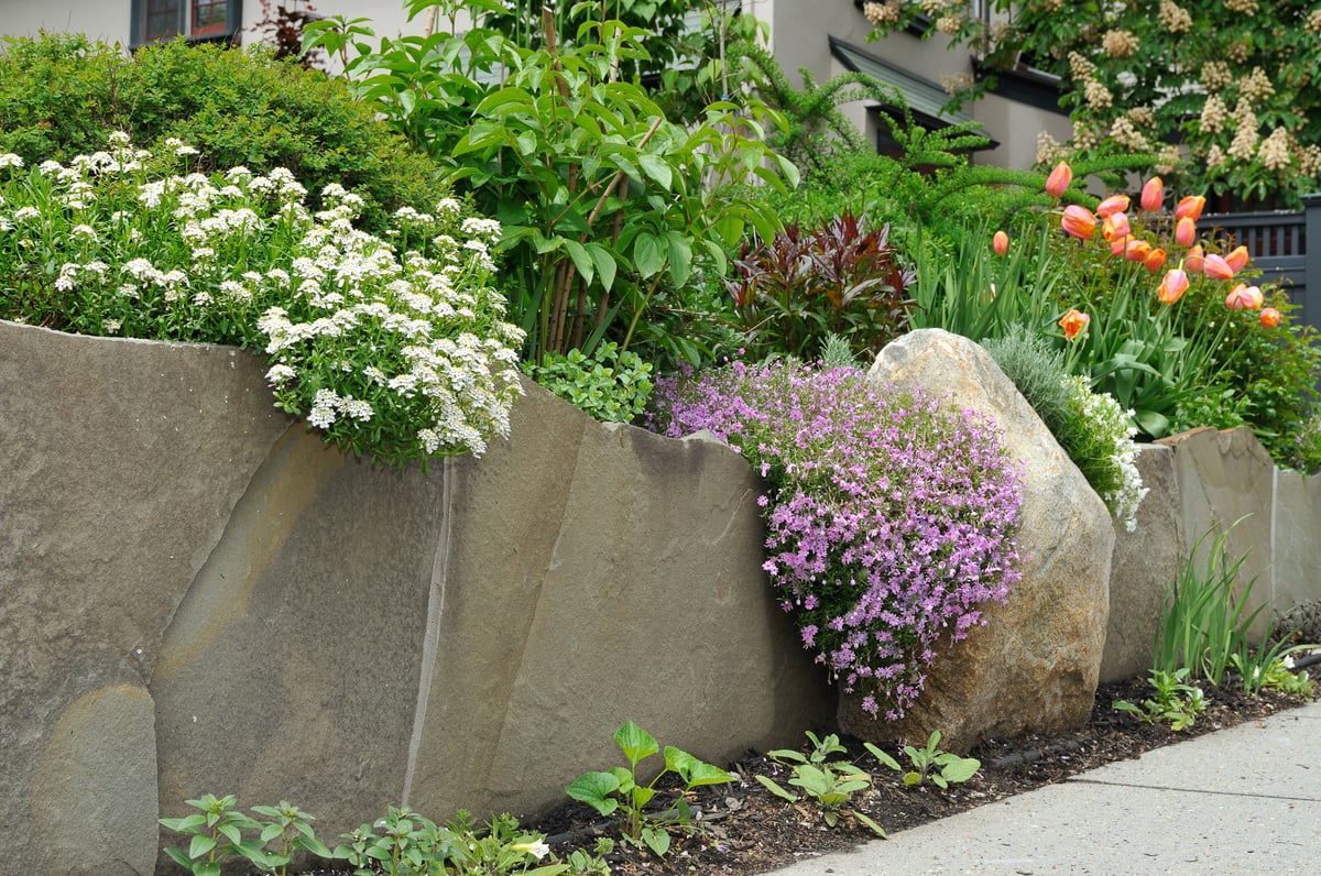 Natursteinmauer mit Planzen die blühen